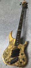 DINGWALL Z3 5st "Passive"【4.01kg】_2
