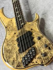 DINGWALL Z3 5st "Passive"【4.01kg】_3
