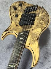 DINGWALL Z3 5st "Passive"【4.01kg】_4