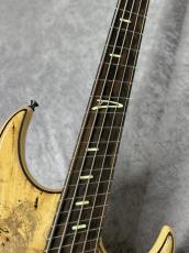 DINGWALL Z3 5st "Passive"【4.01kg】_6