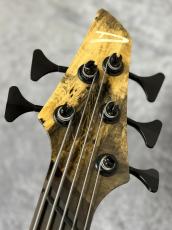 DINGWALL Z3 5st "Passive"【4.01kg】_7
