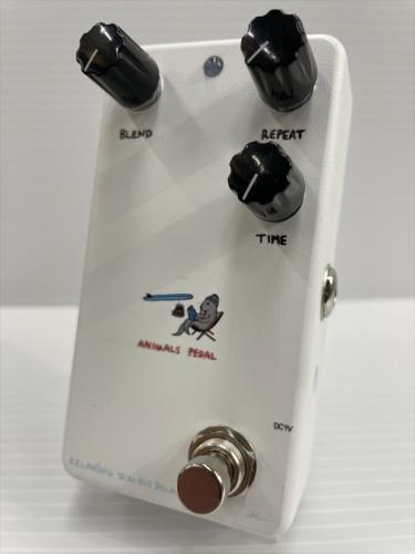 Animals Pedal Relaxing Walrus Delay
