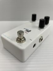 Animals Pedal Relaxing Walrus Delay_2