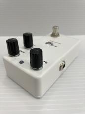 Animals Pedal Relaxing Walrus Delay_3