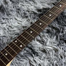 SCHECTER OL-PT-TH/BLD (Blonde) 【SPOTモデル】_5