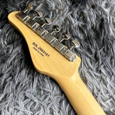 SCHECTER OL-PT-TH/BLD (Blonde) 【SPOTモデル】_7