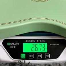 Fender FSR Acoustasonic Standard Jazzmaster, Surf Green 【特価】_11