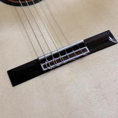 ARIA A-112CWE 【アウトレット特価】【限定モデル】_3
