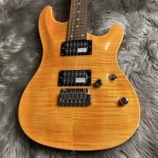 SCHECTER RJ-1-24-VTR /AMB/R【現物画像】