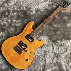 SCHECTER RJ-1-24-VTR /AMB/R【現物画像】_2
