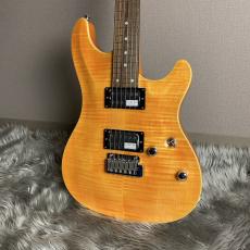SCHECTER RJ-1-24-VTR /AMB/R【現物画像】_4