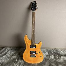 SCHECTER RJ-1-24-VTR /AMB/R【現物画像】_5
