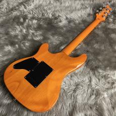 SCHECTER RJ-1-24-VTR /AMB/R【現物画像】_7