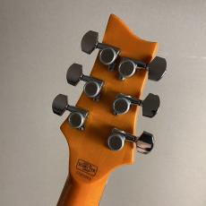 SCHECTER RJ-1-24-VTR /AMB/R【現物画像】_9