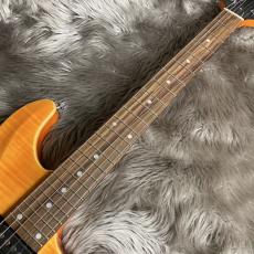 SCHECTER RJ-1-24-VTR /AMB/R【現物画像】_10