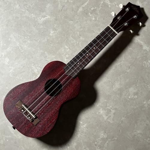 ARIA AU-1
