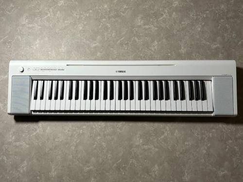 YAMAHA NP-15