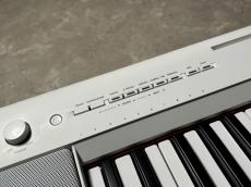 YAMAHA NP-15_2