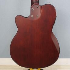 Sire Larry Carlton G5N Natural_2