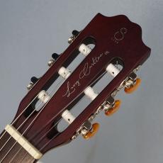 Sire Larry Carlton G5N Natural_3