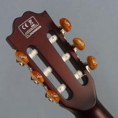 Sire Larry Carlton G5N Natural_4