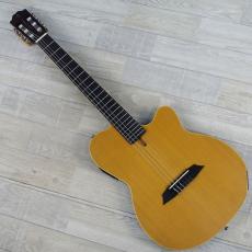 Sire Larry Carlton G5N Natural_6