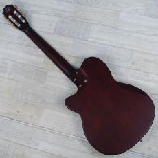 Sire Larry Carlton G5N Natural_7