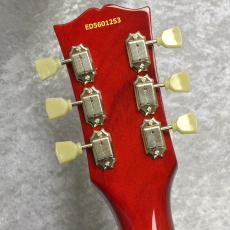 Edwards E-LP-STD 【Cherry Sunburst】_10