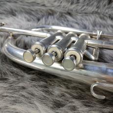 BESSON New Standard Flugelhorn_9