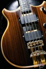 ALEMBIC Series II SSB / 1992