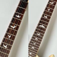 Paul Reed Smith [PRS] SE Custom 24 -Blue Fade-2025年製 #CTI H023557【軽やかなサウンド】_4