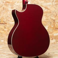 Taylor C24ce B5038_2