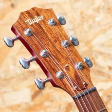 Taylor C24ce B5038_8