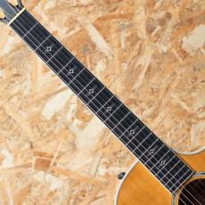 Taylor 614ce-N 2014_6