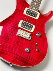 Paul Reed Smith [PRS] SE Custom 24  Ruby 2025年製#CTI H070336【3.28kg】_2