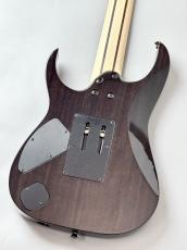 Ibanez 【7弦】RG8527 BRE :Black Rutile  #F2621508【4.26KG】_4