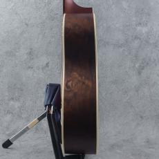 IRIS GUITAR COMPANY The BB Model Burst Jacaranda_5