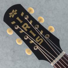 IRIS GUITAR COMPANY The BB Model Burst Jacaranda_8
