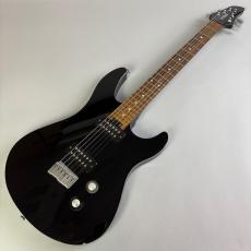 YAMAHA RGX A2_2