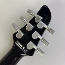 YAMAHA RGX A2_7