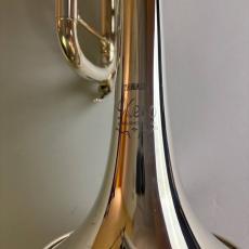 YAMAHA YTR-8335RGS_10
