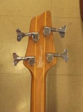 Washburn FORCE-4_6
