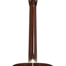 Collings D2H *2023_9