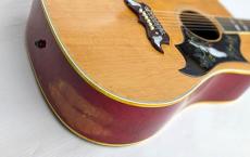 Gibson 【Vintageお買い得セール!】Dove【1965年製】【チューンオーマチックブリッジ】【レギュラーネック】_7