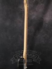 Fender Mexico Player Stratocaster_6