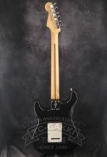 Fender Mexico Player Stratocaster_12