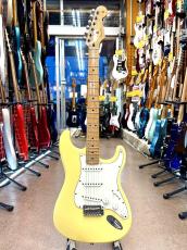 Fender Player Stratocaster_2