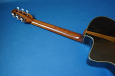 Stringphonic Chorus Limited Zilicote_5
