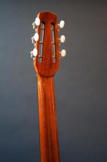 Stringphonic Chorus Limited Zilicote_7