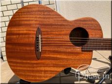 aNueNue Bird Guitar M2